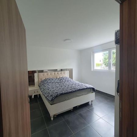 Bel Appartement Rez De Jardin Horbourg Eksteriør bilde